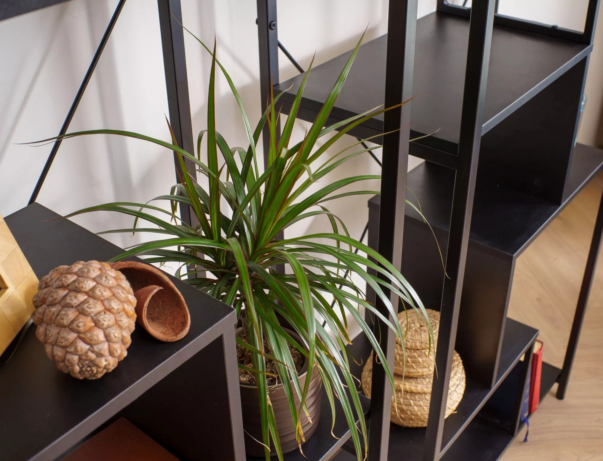 Weiteres Produktbild 10