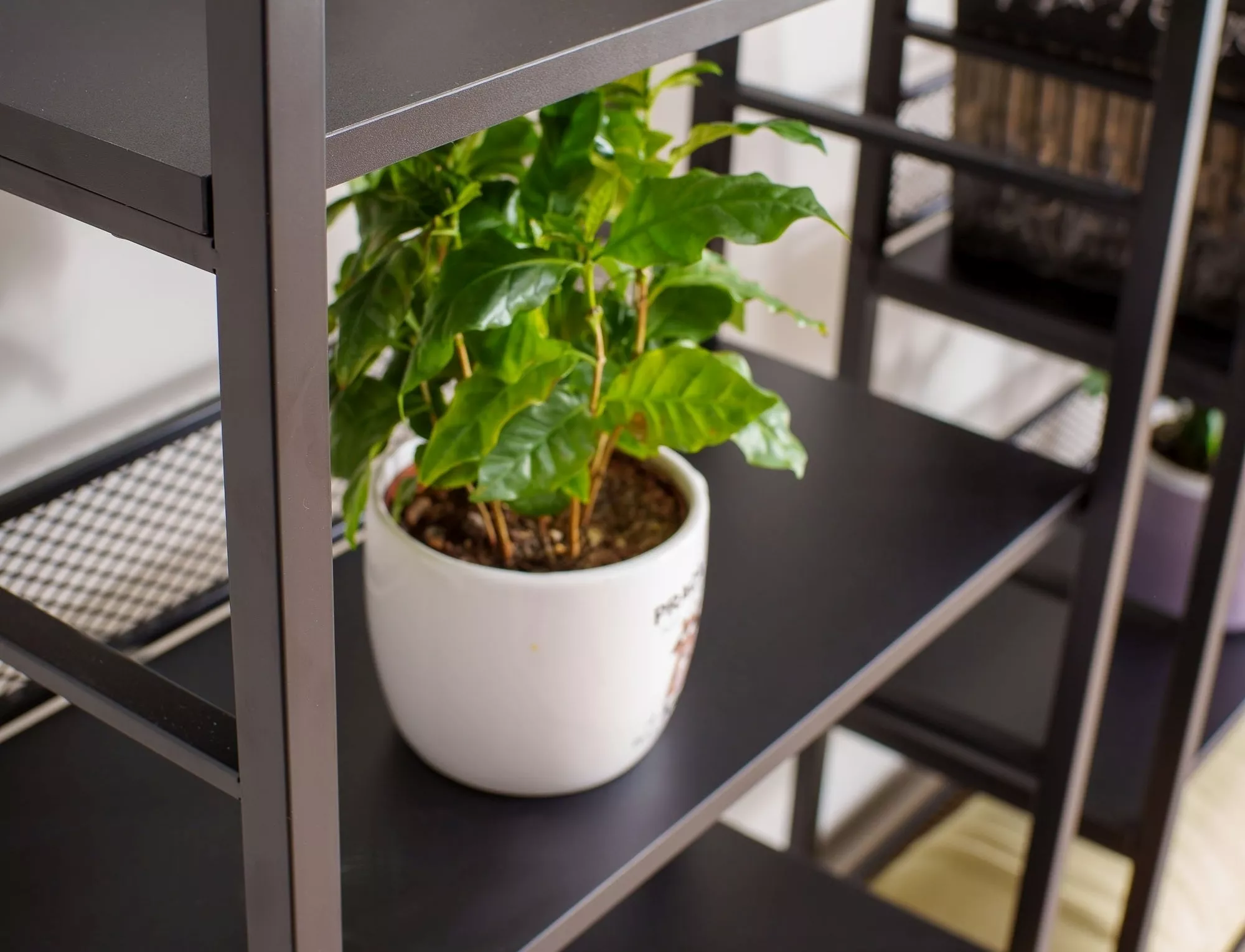 Weiteres Produktbild 7