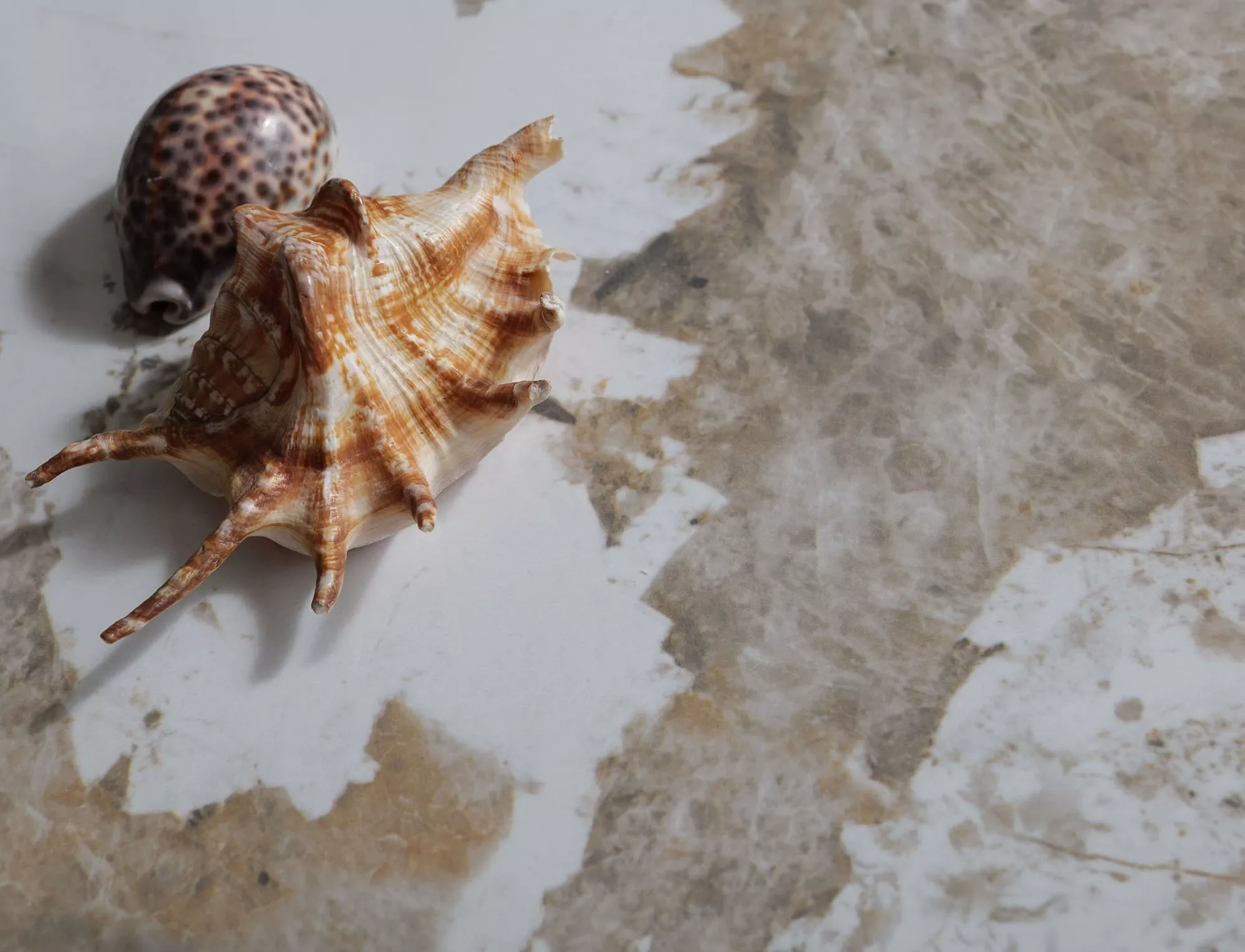 Weiteres Produktbild 6