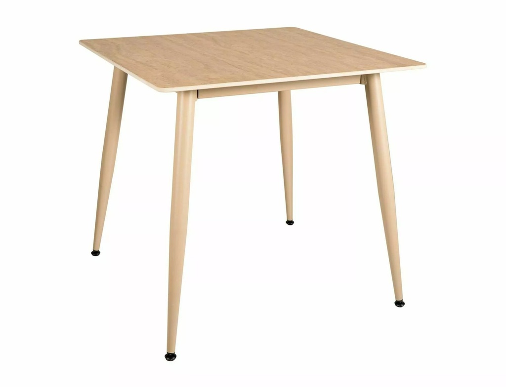 [RIONTRKA80] Rion 80 Tisch